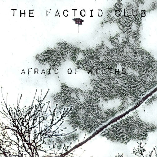 The Factoid Club album cover: Afraid of Widths